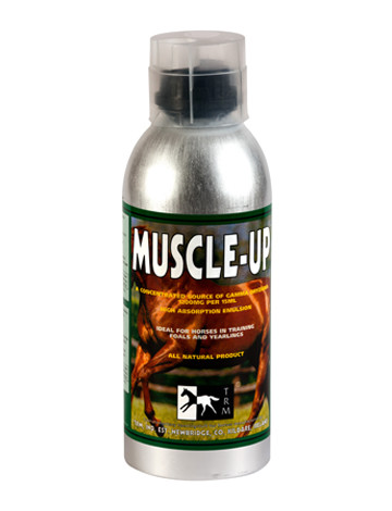 MUSCLE UP 960mL