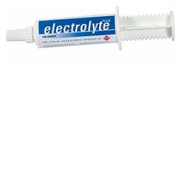 Electrolyte Plus Siringa 40 g