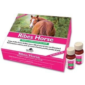 Ribes Horse 30 flaconi 25 mL