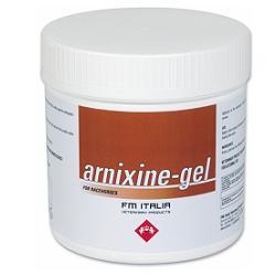 ARNIXINE GEL 750g