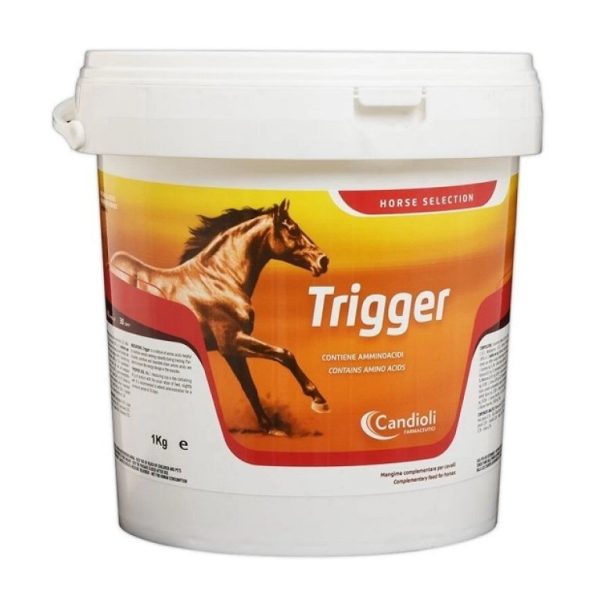 Trigger 3 Kg